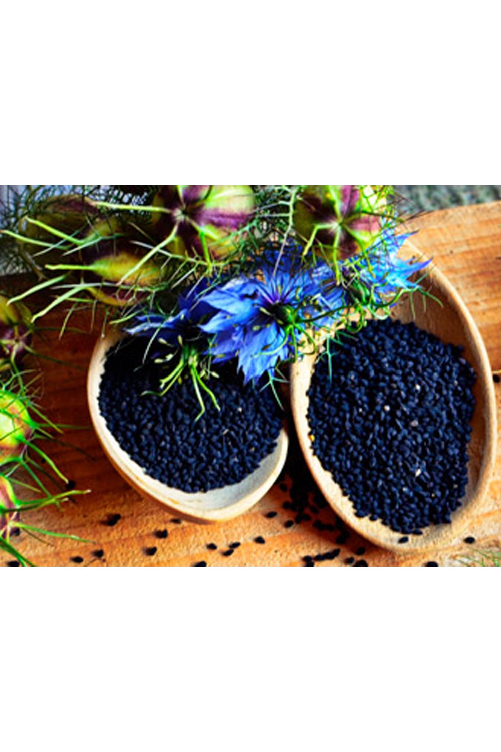 Huile de Nigelle Filtrée d’Éthiopie - Nectar Antik