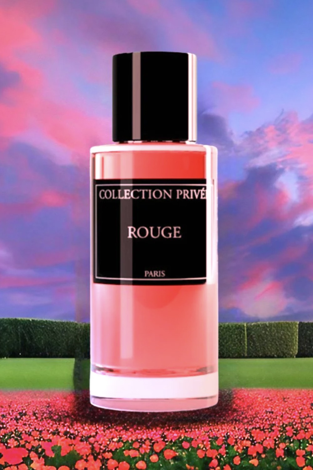 Eau de Parfum BAKARA 50ml - Collection Privée Paris
