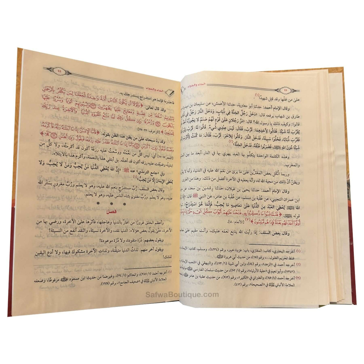 Le remède et la maladie Ad-Daa wad-Dawaa | Ibn Al-Qayyim Al-Jawziyya الداء والدواء ابن القيم