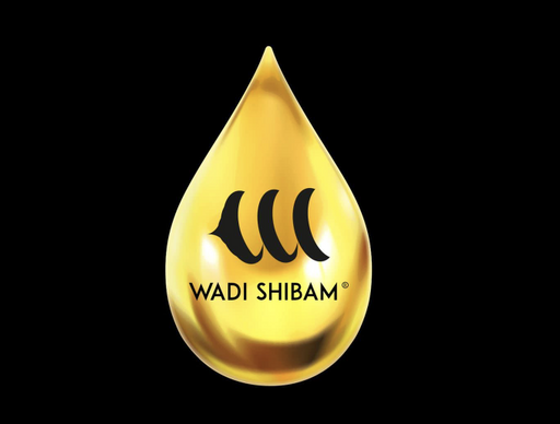 Wadi Shibam Éditions