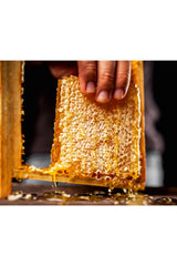 Miel de Jujubier du Peshawar - Nectar Antik