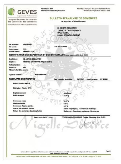 Graines de Nigelle Habachiya d'Ethiopie - Cumin noir 100g Usage Alimentaire - Nigelle Source