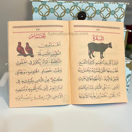 Ma‘allim Al-Qirâ’a + Qa‘ida Baghdadiya (معلم القراءة) – Méthode d’apprentissage lecture arabe – Atiyya Muhammad