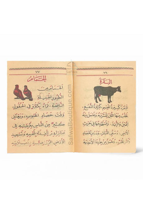 Ma‘allim Al-Qirâ’a + Qa‘ida Baghdadiya (معلم القراءة) – Méthode d’apprentissage lecture arabe – Atiyya Muhammad