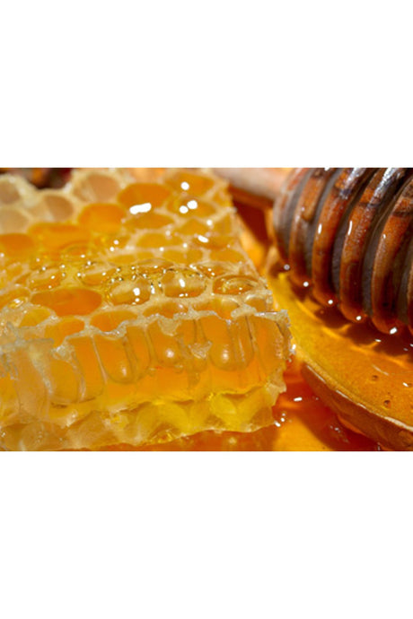 Miel de Nigelle d’Égypte - Nectar Antik